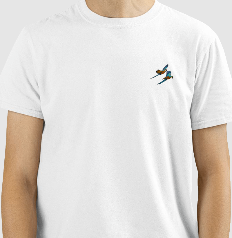 Camisa 1