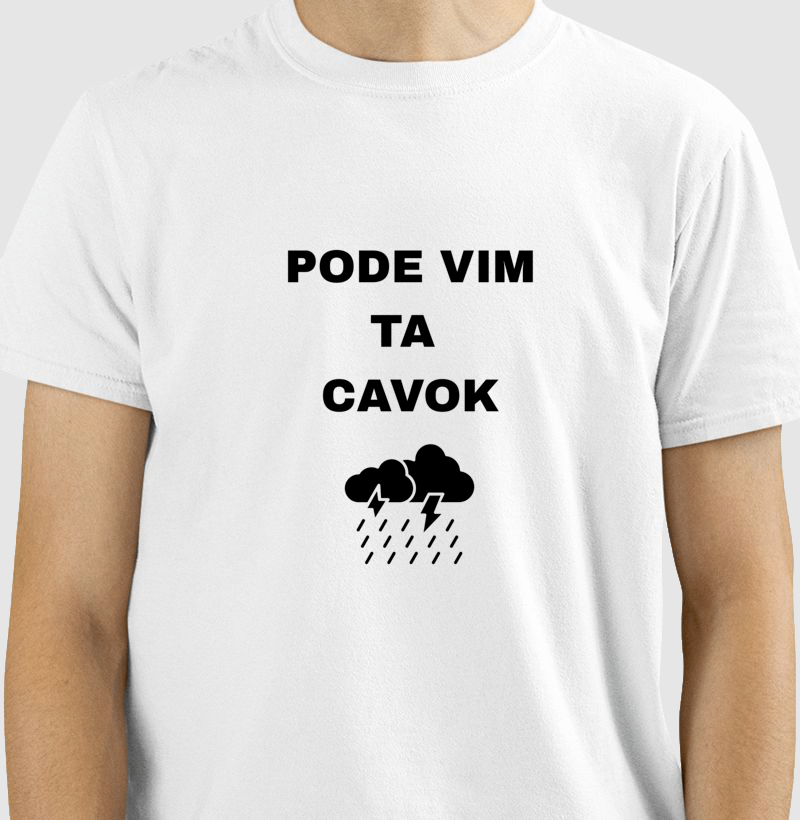 Camisa 1