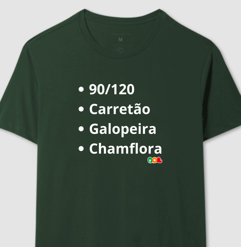 Camisa 3