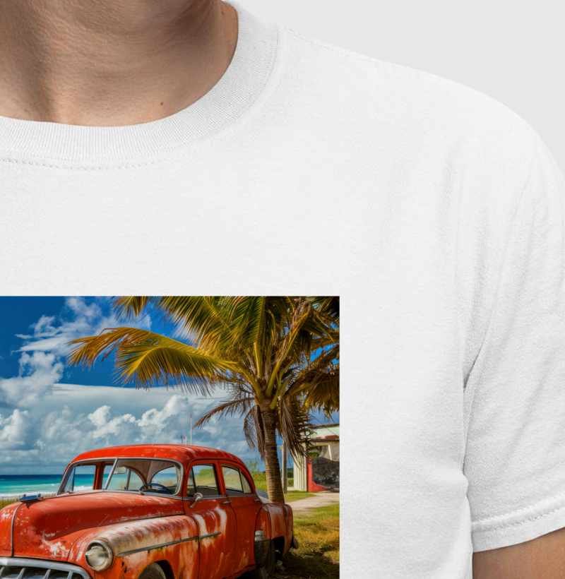 Camisa 1