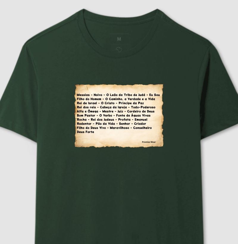 Camisa 1