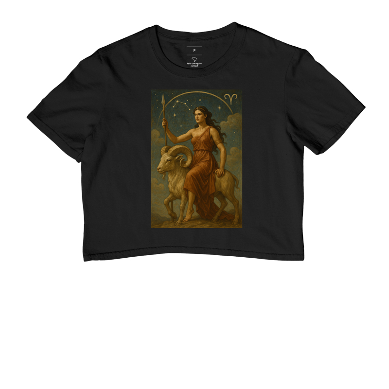 Aries IV