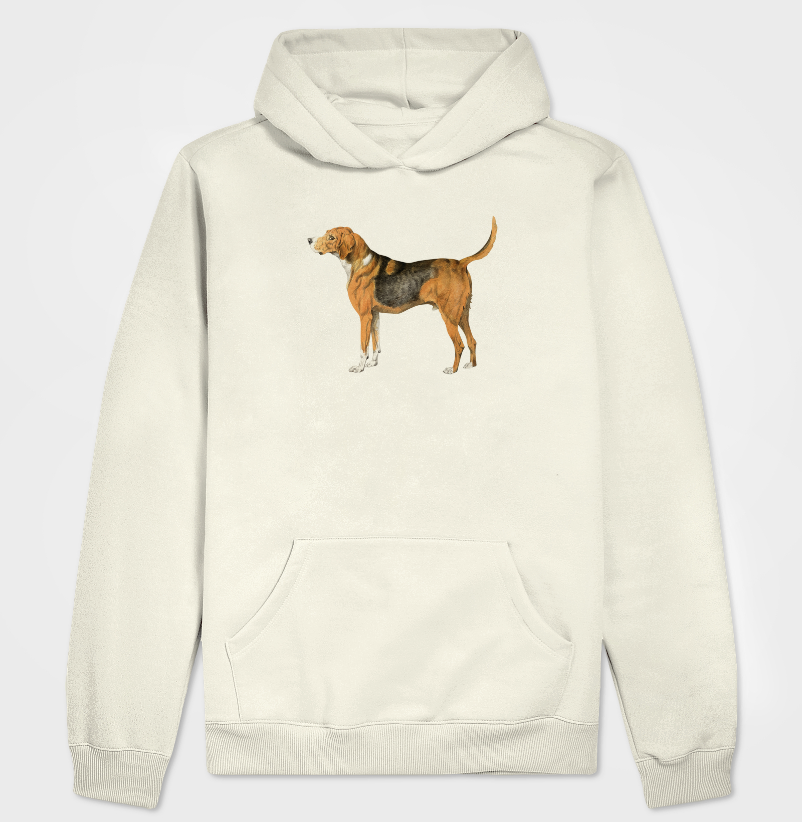 Vintage dog illustration