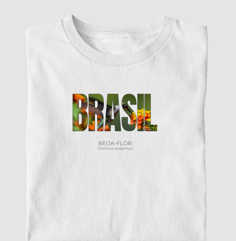 Animais do Brasil – Beija-flor