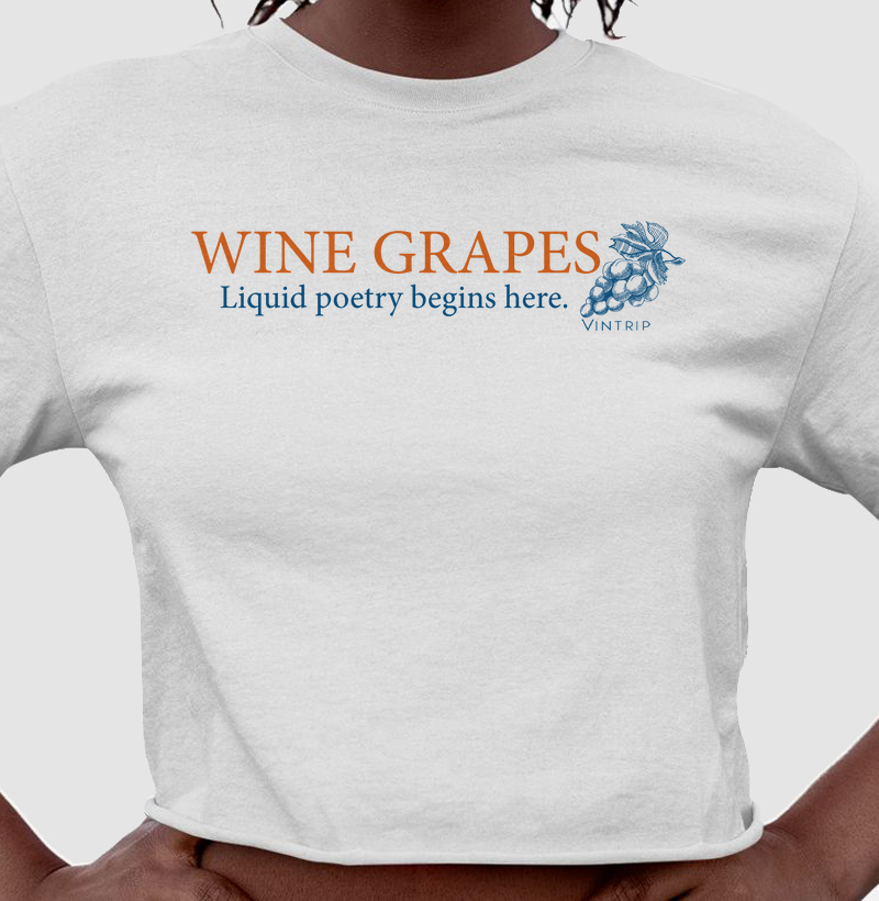 Wine grapes - Liquid poetry begins here. COLOR