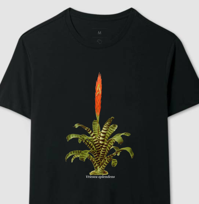 Camiseta Vriesea splendens t-shirt
