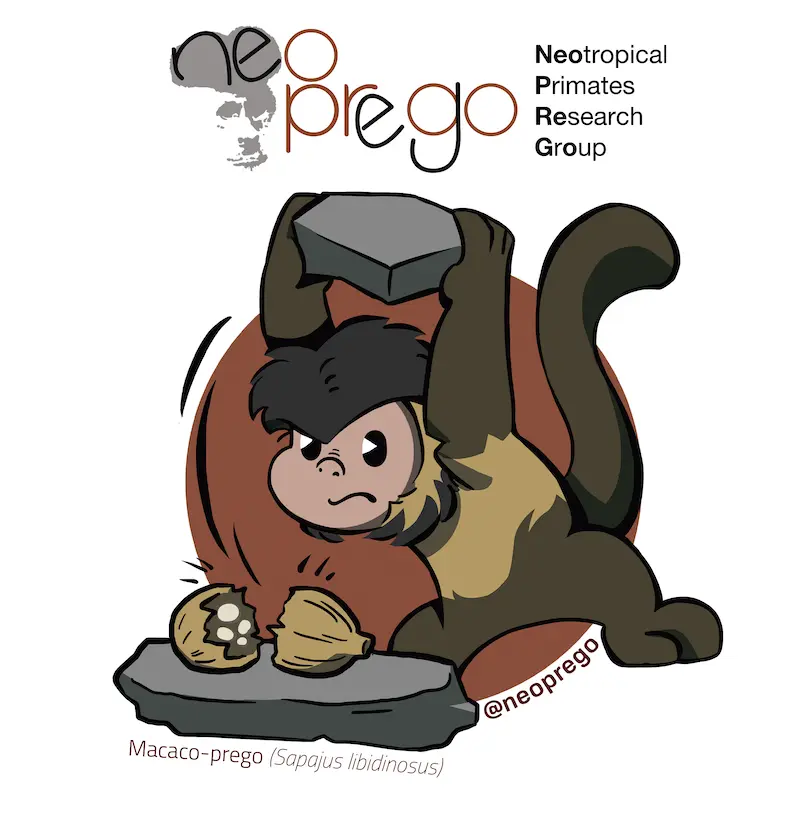 Macaco-prego quebrando babaçu