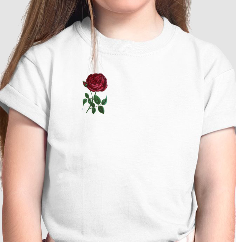 Infantil - Rosa de Santa Terezinha