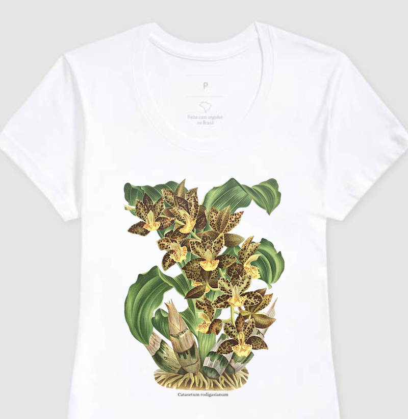 Camiseta Feminina Catasetum rodigasianum