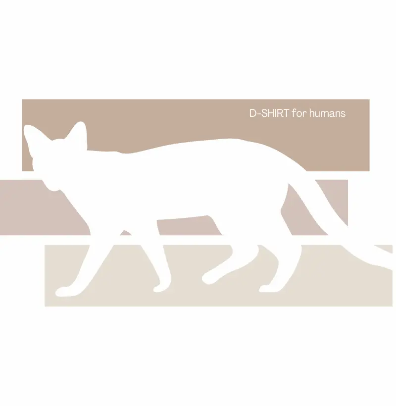 Fall - Cat in sand