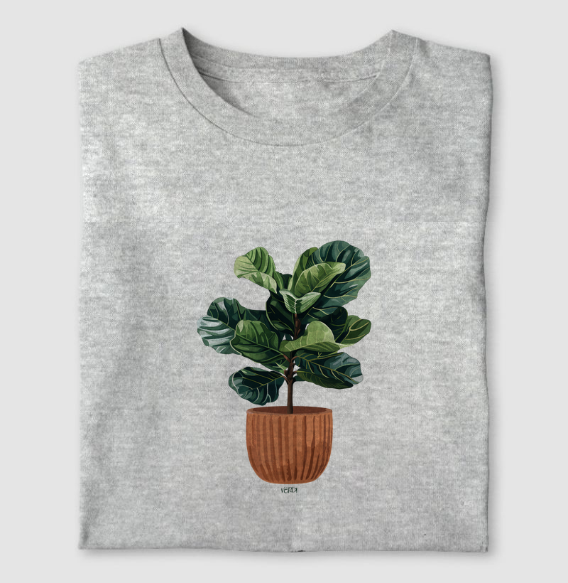 Ficus lyrata