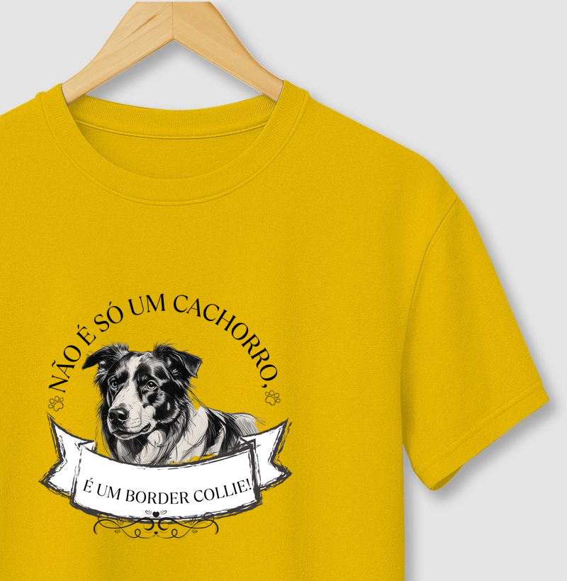 Não é só um cachorro. É um Border Collie.