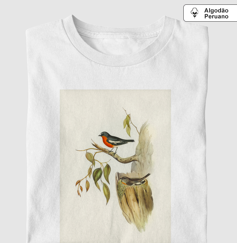 Flame-breasted Robin