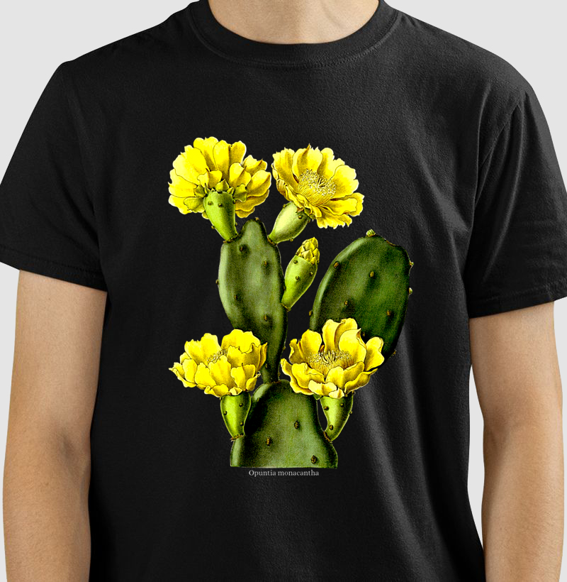 Camiseta Tshirt Opuntia monacantha