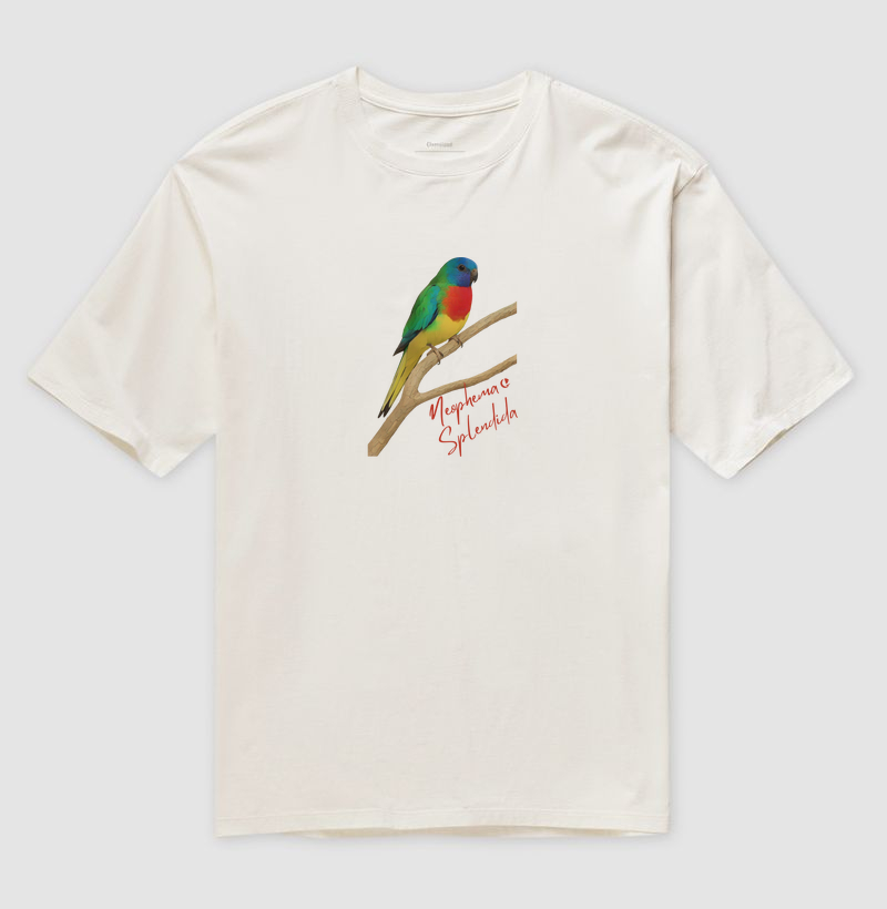 Camiseta Oversized - Neophema Esplendida 