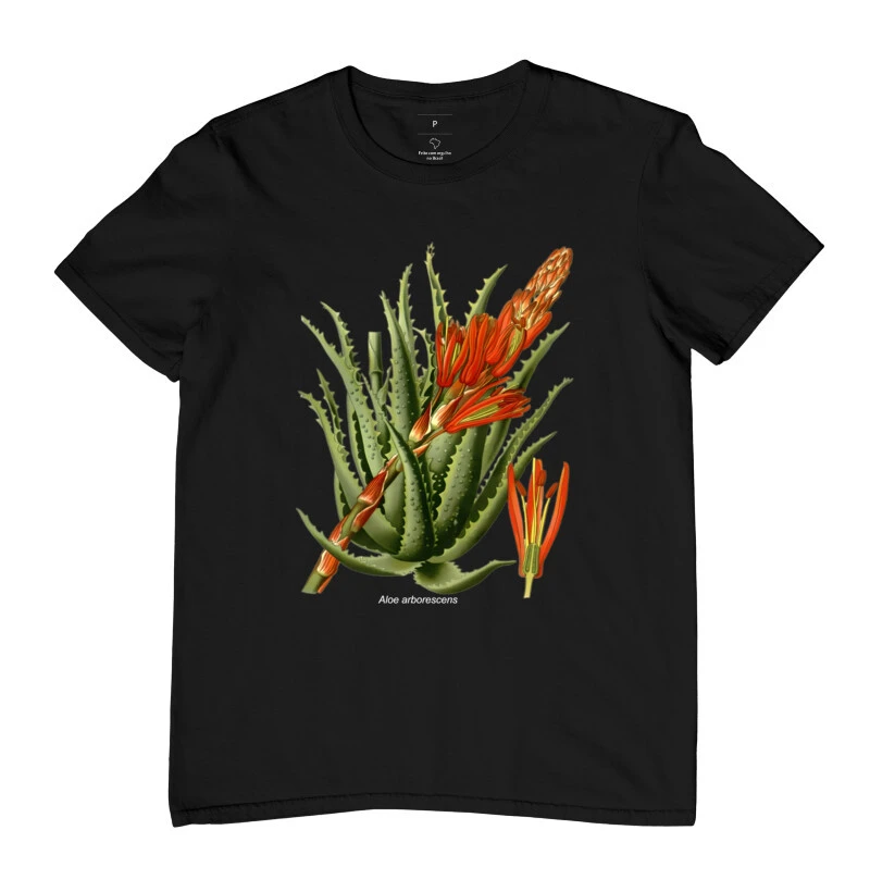 Aloe arborescens ( Suculentas )