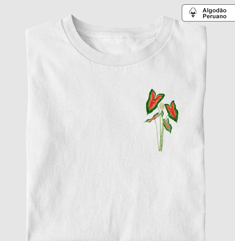 Caladium