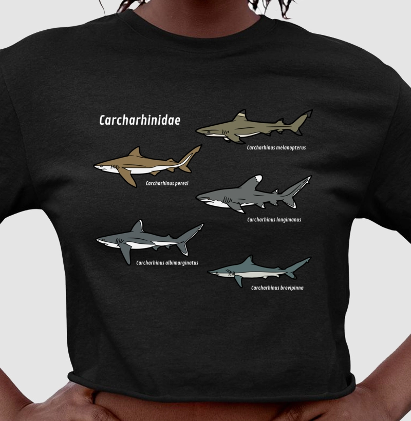 Carcharhinidae