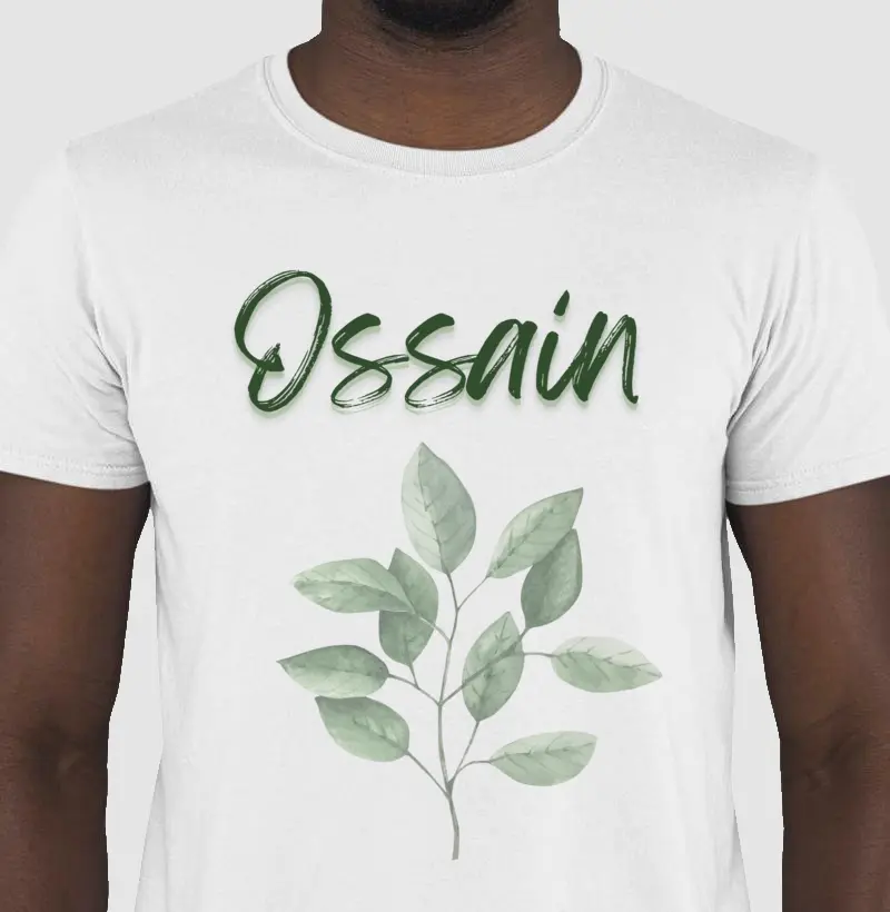 Folhas de Ossain