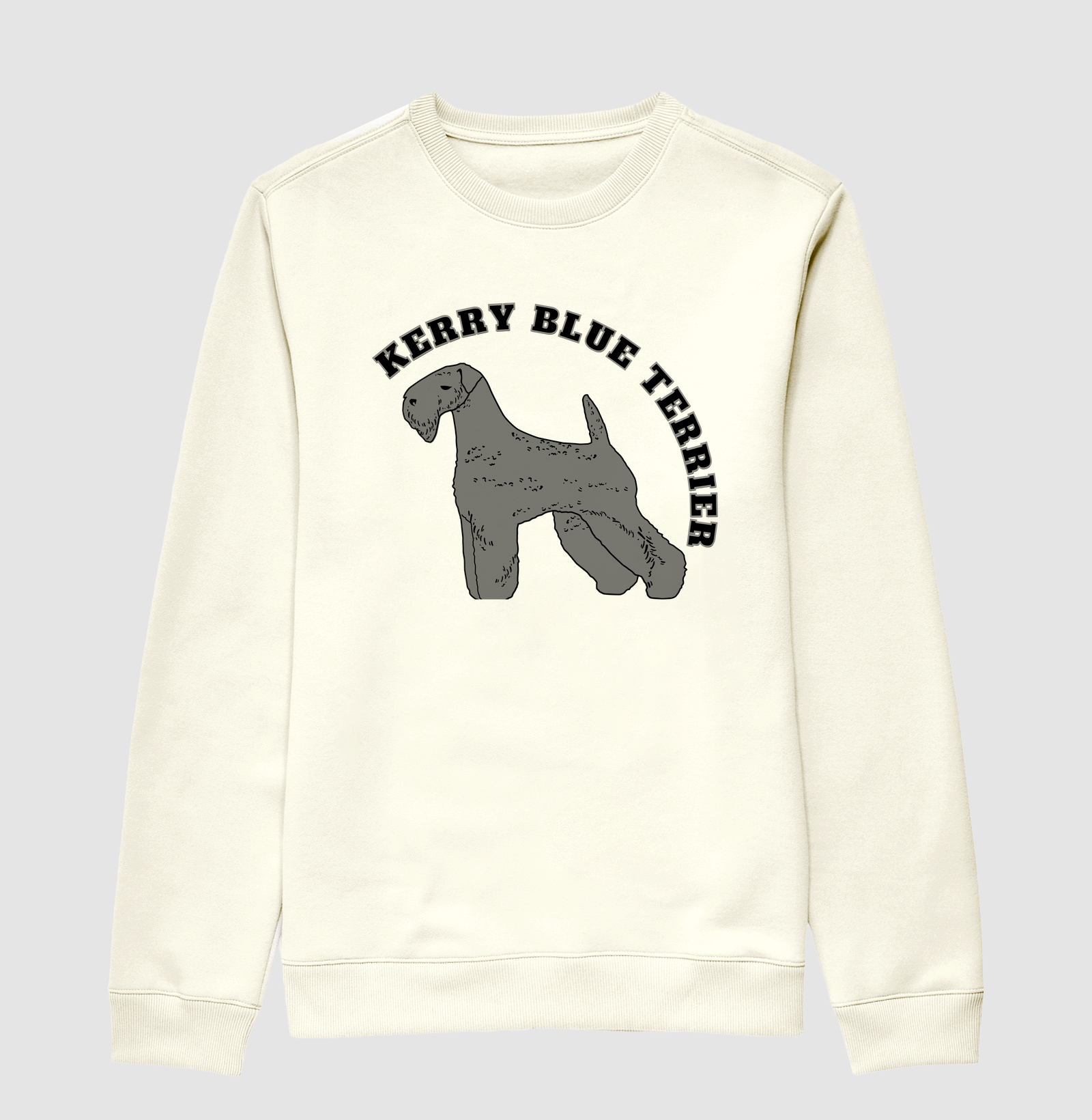 Kerry Blue Terrier
