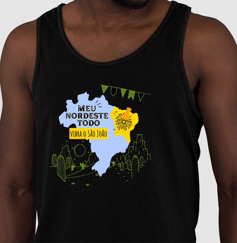 Meu nordeste todo vibra o São João