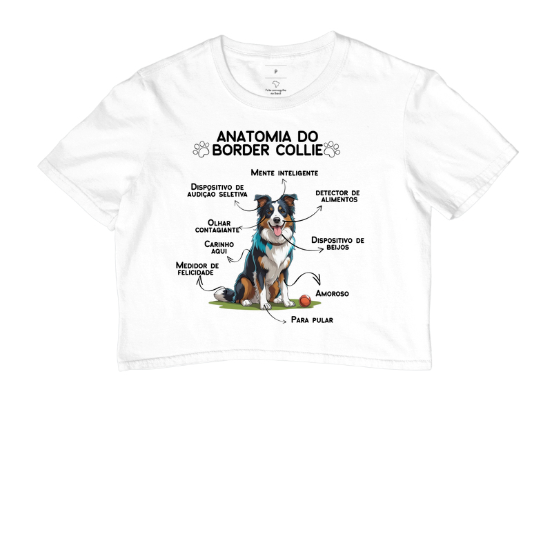 Anatomia do Border Collie