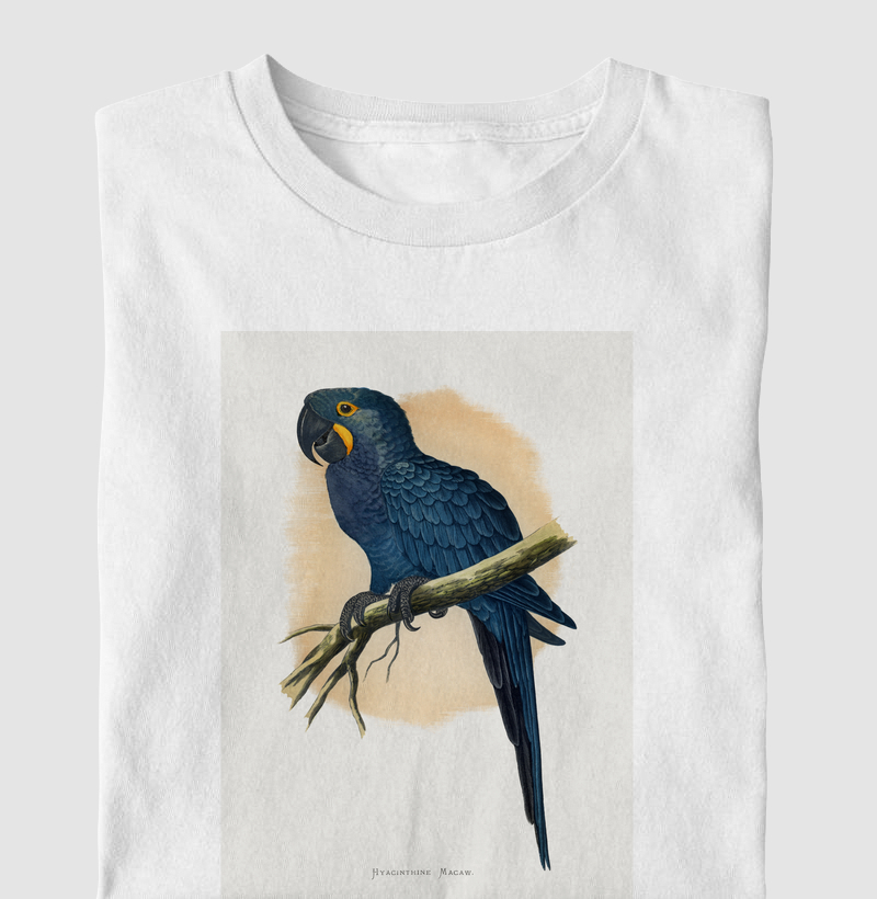 Hyacinthine Macaw