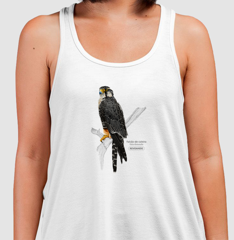 Aves do Brasil - Falcão de Coleira - Regata