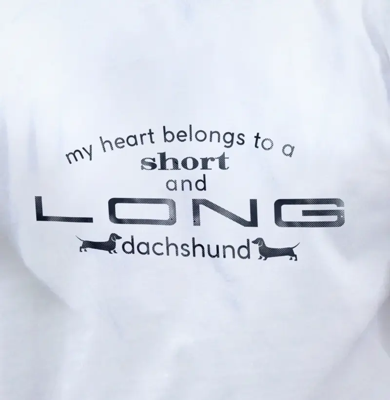 My heart belongs to a dachshund