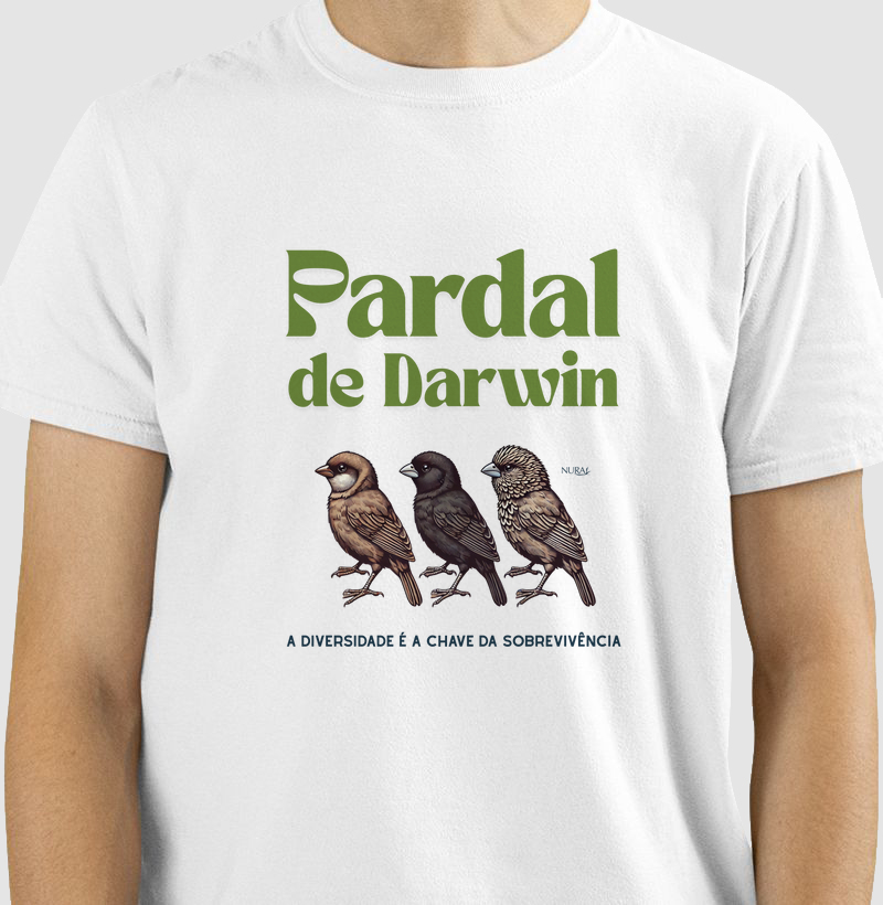 Pardal de Darwin