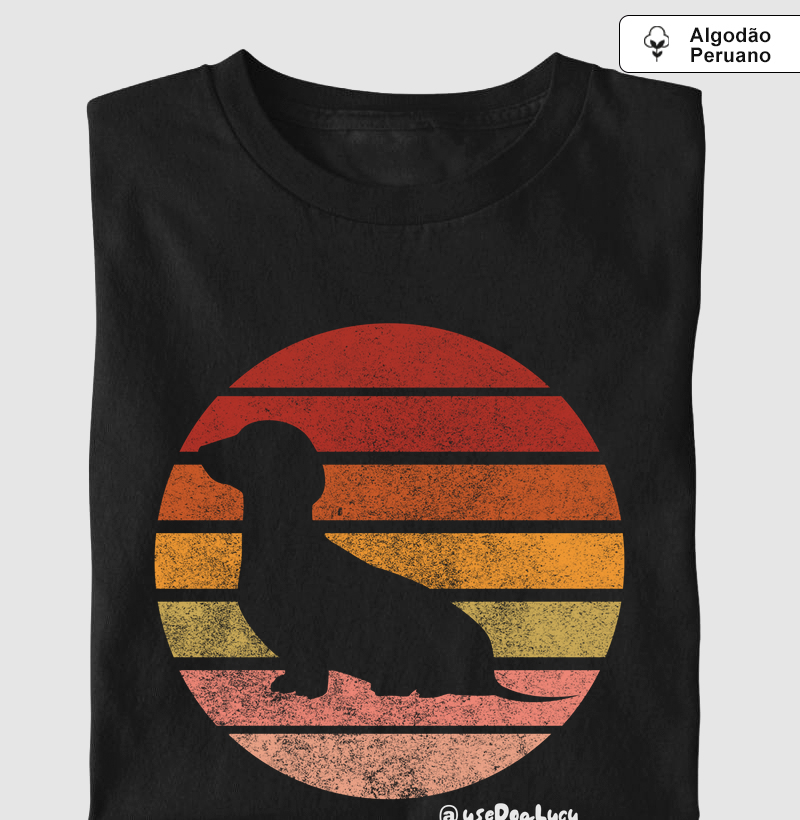 Dachshund Sol