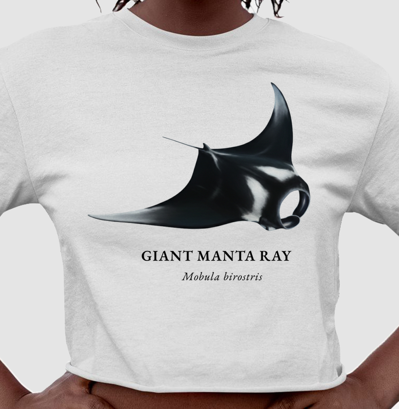 Giant Manta Ray