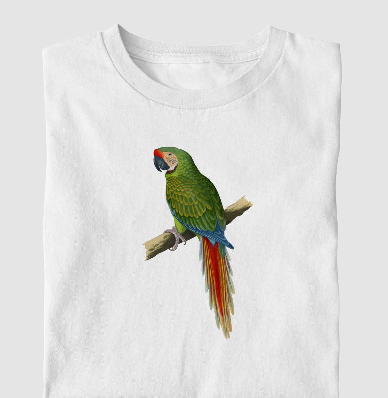 Arara-militar