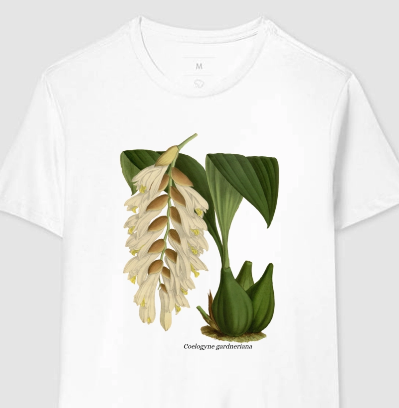 Camiseta Coelogyne gardneriana t-shirt