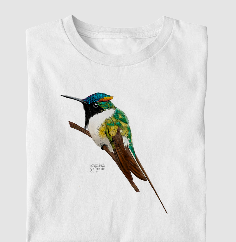 Aves do Brasil - Beija-Flor Chifre de Ouro