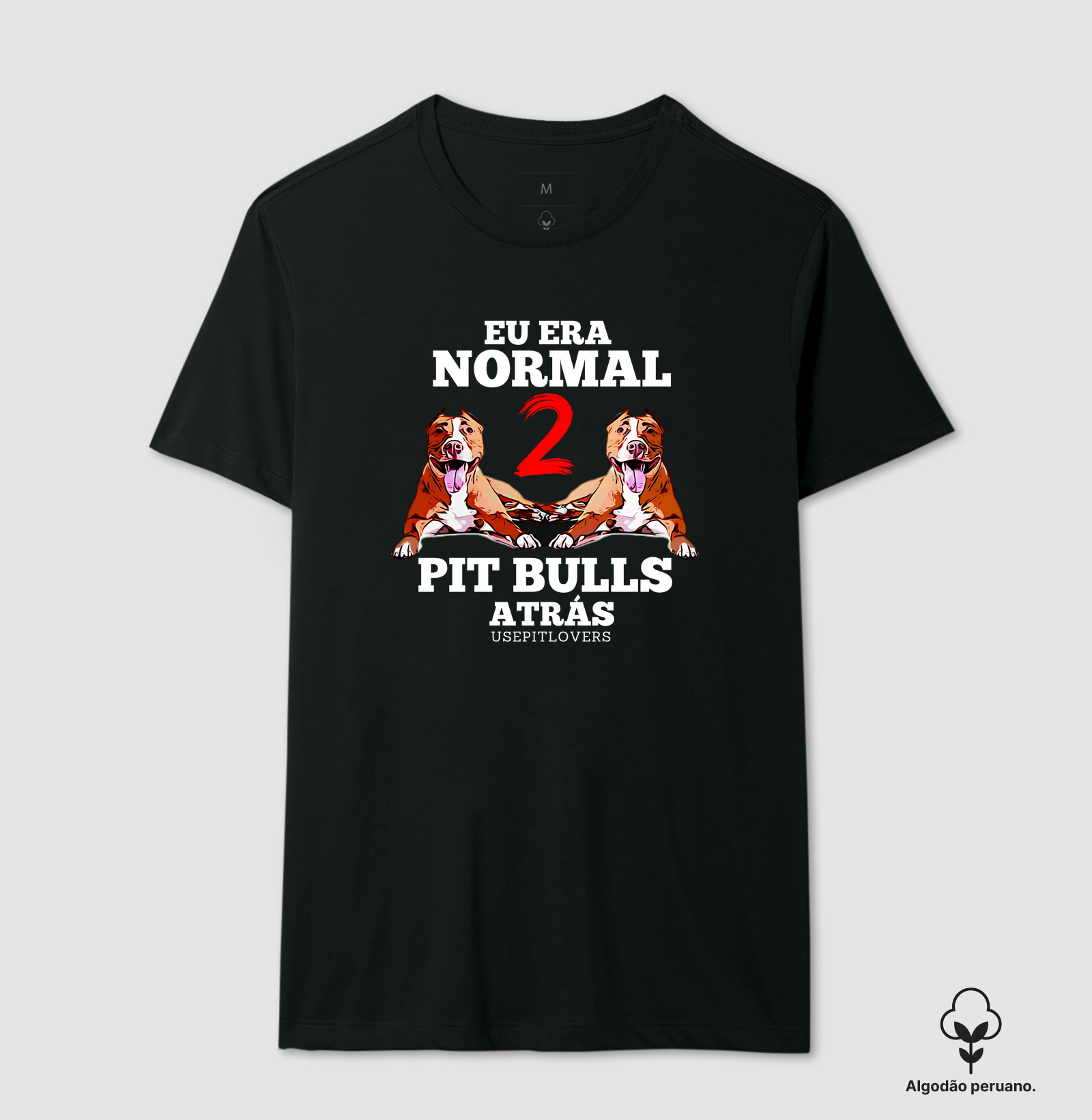EU ERA NORMAL 2 PIT BULL ATRÁS