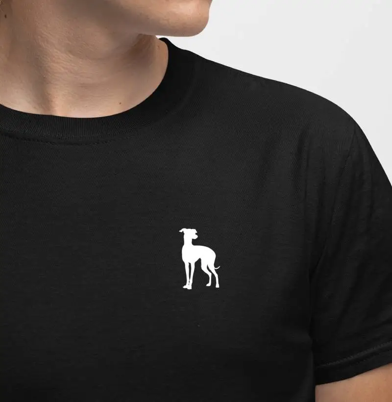 Mini Galgo Inglês