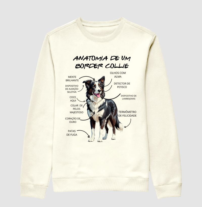 Anatomia de um border collie
