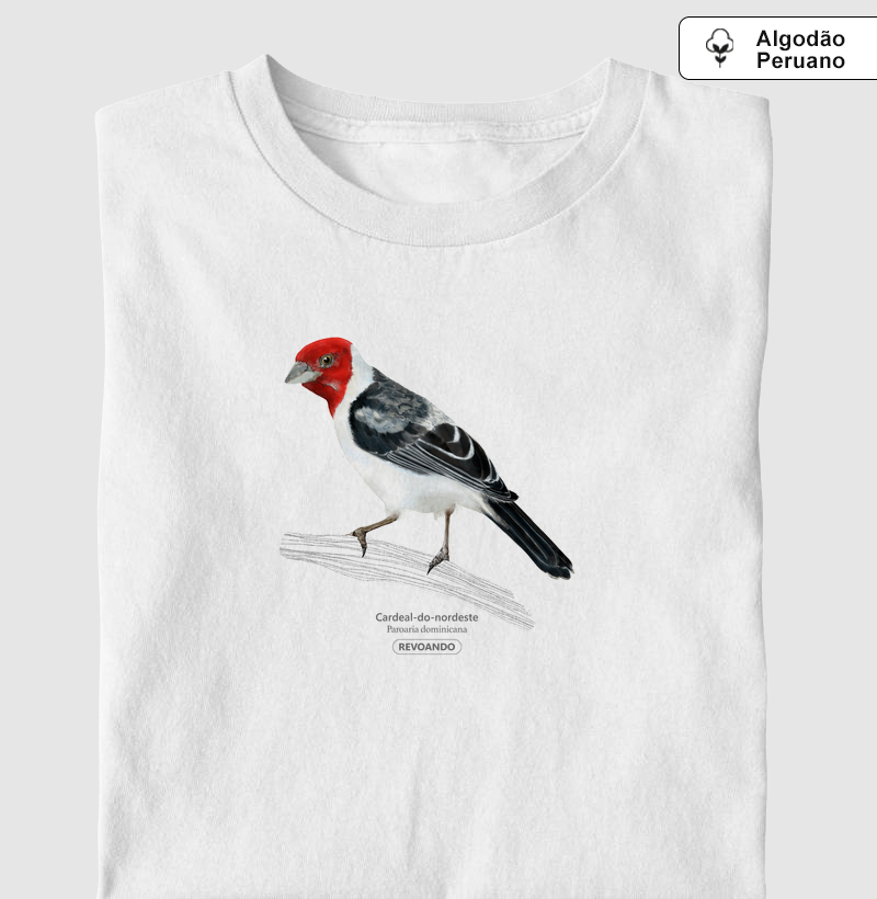 Aves do Brasil - Cardeal do Nordeste - Algodão Peruano