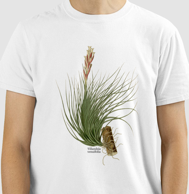 Camiseta Tillandsia tenuifolia