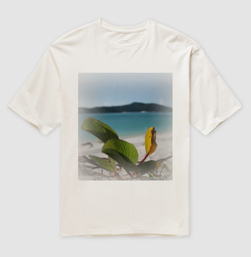 Restinga 02
