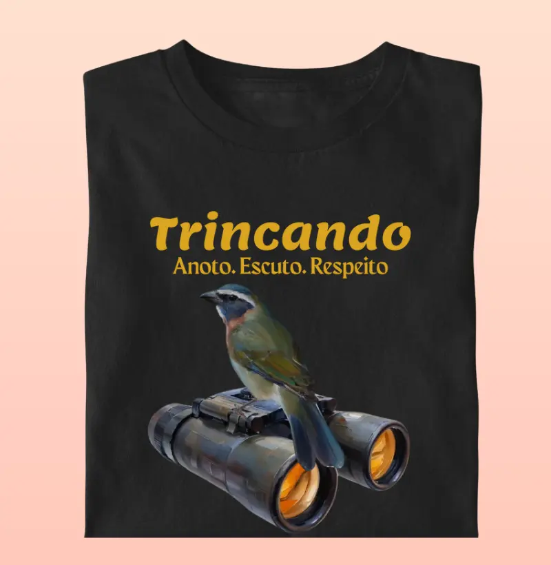 Coleção Observadores 1.0