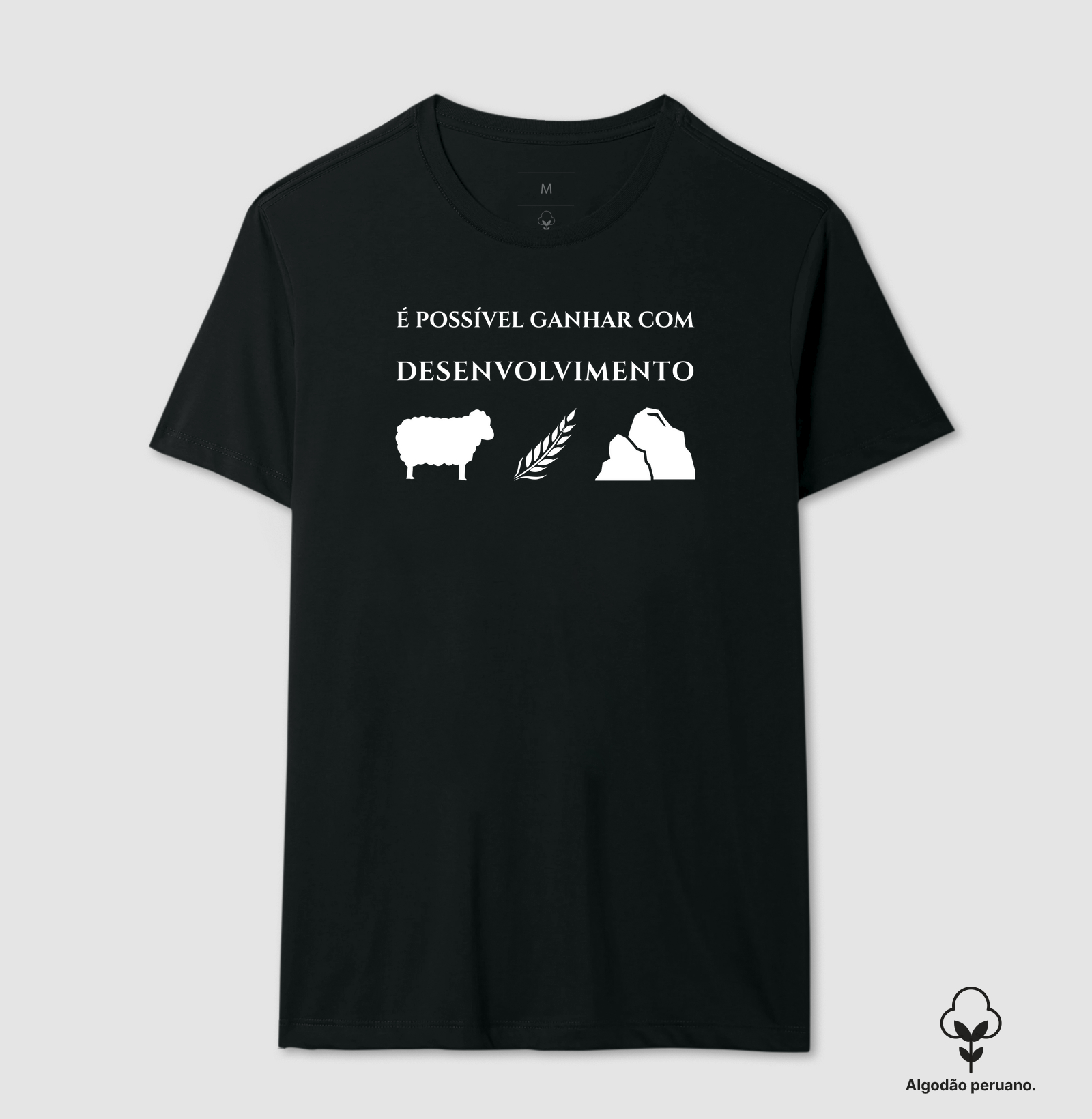 Catan - Ganhar com Desenvolvimento