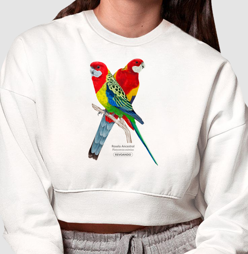 Love Friends - Rosela Ancestral - Moletom Cropped