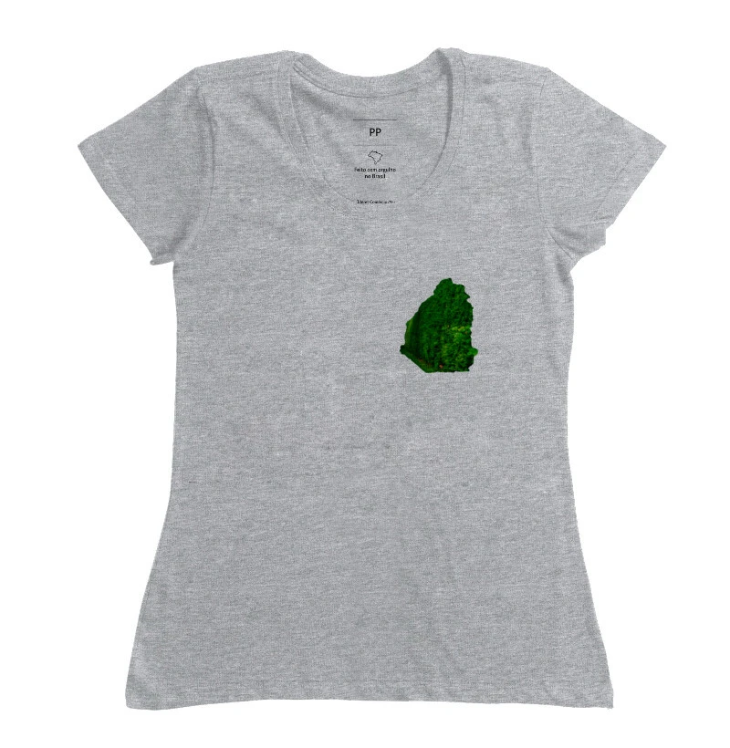 vergonha da ordem materna