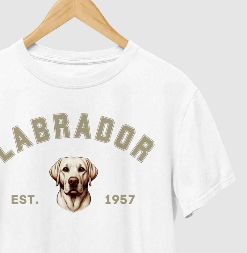 College - Labrador