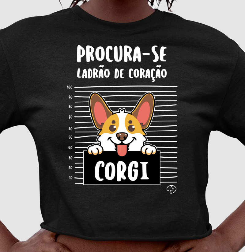 Corgi Ladrão de Coração
