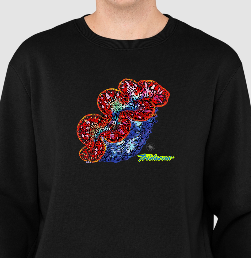 Tridacna
