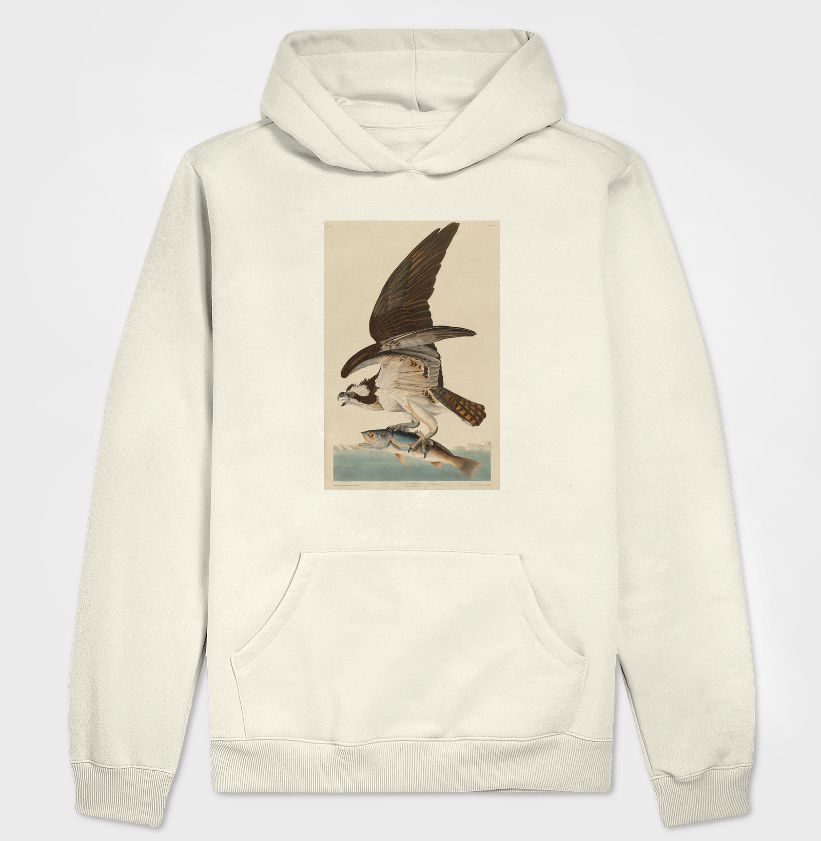 Fish Hawk