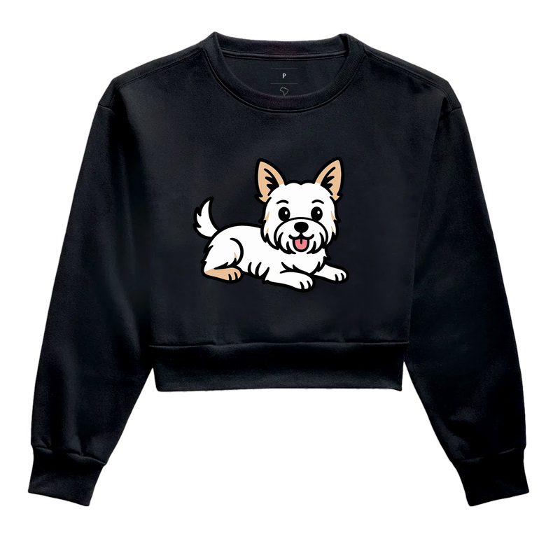 Yorkshire Terrier Branco